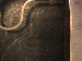 SurveyImage_02_03.png