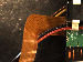 SurveyImage_02_05.png