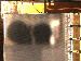 SurveyImage_03_04.png