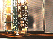 SurveyImage_04_02.png