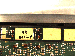 SurveyImage_04_06.png