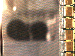 SurveyImage_05_03.png