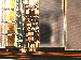 SurveyImage_06_02.png