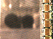 SurveyImage_07_03.png
