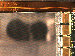 SurveyImage_07_04.png