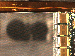 SurveyImage_09_04.png