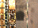 SurveyImage_10_03.png