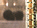 SurveyImage_11_03.png