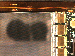 SurveyImage_11_04.png