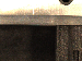 SurveyImage_11_06.png