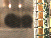 SurveyImage_13_03.png