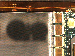 SurveyImage_13_04.png