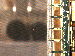 SurveyImage_15_03.png