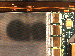 SurveyImage_15_04.png
