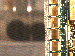SurveyImage_17_03.png