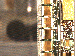 SurveyImage_23_03.png