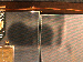 SurveyImage_24_04.png