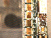 SurveyImage_27_03.png