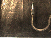 SurveyImage_01_02.png