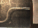 SurveyImage_02_02.png