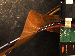SurveyImage_02_05.png