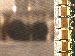 SurveyImage_09_03.png