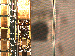 SurveyImage_10_03.png