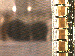 SurveyImage_11_03.png