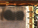 SurveyImage_11_04.png