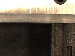 SurveyImage_11_06.png
