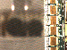 SurveyImage_13_03.png