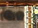 SurveyImage_13_04.png