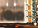 SurveyImage_15_02.png
