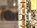 SurveyImage_23_03.png