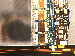 SurveyImage_29_02.png