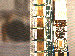 SurveyImage_29_03.png