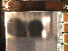 SurveyImage_01_04.png
