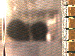 SurveyImage_03_03.png