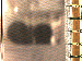 SurveyImage_05_03.png