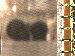 SurveyImage_07_03.png