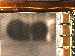 SurveyImage_07_04.png