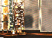 SurveyImage_08_02.png