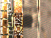 SurveyImage_08_03.png