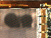 SurveyImage_09_04.png