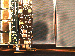 SurveyImage_10_02.png