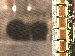 SurveyImage_11_03.png