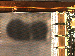 SurveyImage_11_04.png