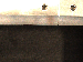 SurveyImage_12_06.png