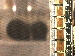 SurveyImage_13_03.png