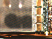 SurveyImage_17_02.png